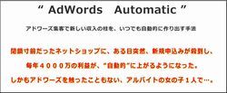 adwords automatic1.jpg